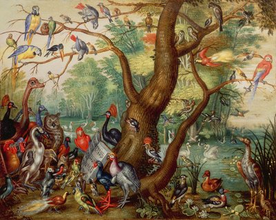 कॉन्सर्ट ऑफ़ बर्ड्स (तांबे पर तेल) द्वारा Jan van Kessel the Elder